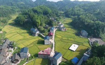 2024年村会计述职个人报告8篇