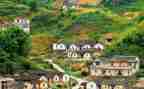 2023年村团委述职报告精选5篇