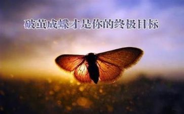 当我面对挫折的时候作文模板6篇