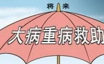 大病低保申请书5篇