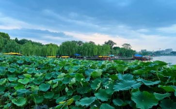 大明湖作文参考8篇