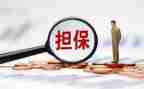 借款合同的担保合同6篇