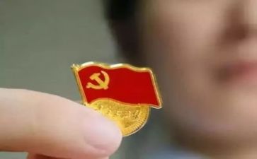 区党代会心得体会最新8篇