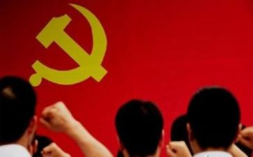 党健工作述职报告精选6篇
