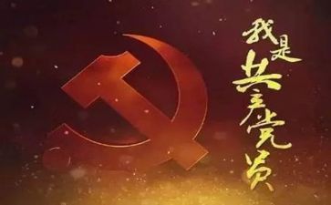 党个人述职报告参考7篇