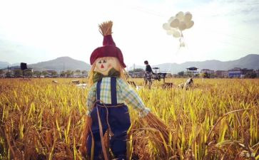 读稻草人心得体会模板6篇