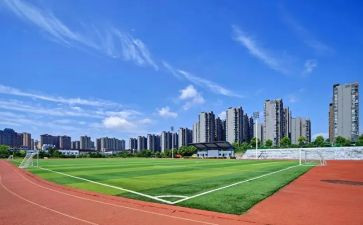 300字作文大学作文5篇