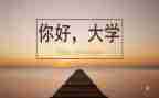 大学军训体会心得800字5篇