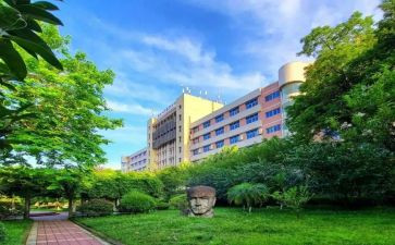 自我鉴定大专300到500字7篇