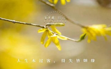 初中的得与失作文600字推荐8篇