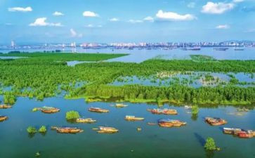 在工地实习报告5篇