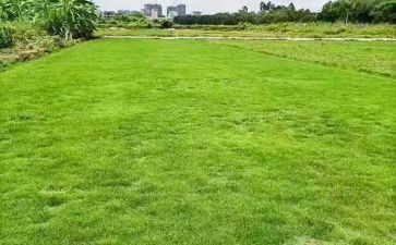 建筑工地实习报告推荐7篇
