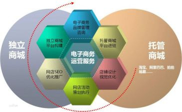 2023电商述职报告优质5篇