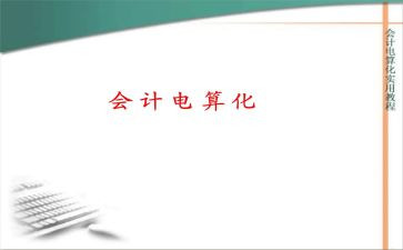 对电算化的心得体会最新7篇