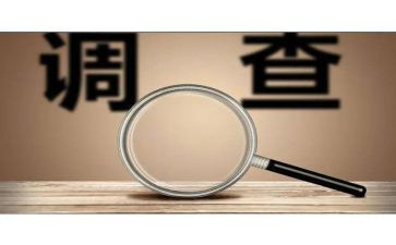 调查队2023工作总结7篇