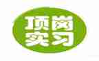 中专学生顶岗实习报告8篇