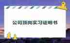 顶岗实习的总结报告最新5篇