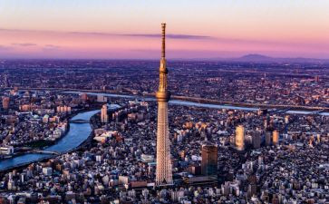 《东京塔》读后感5篇