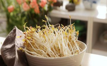 小豆芽成长记作文6篇