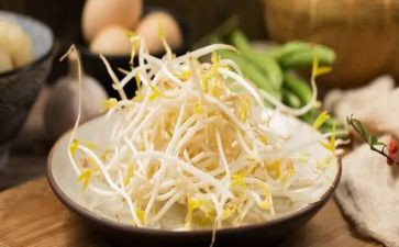豆芽成长记作文优质7篇