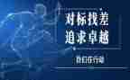 对标对表工作述职报告6篇