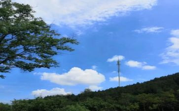 妈对不起作文模板8篇