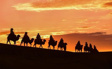 莫高窟敦煌的作文7篇