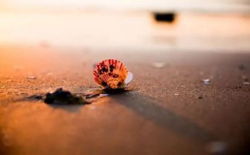 大班社会多彩的少数民族教案5篇