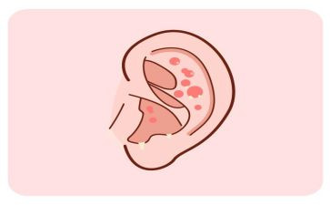 耳边的声音作文优质5篇