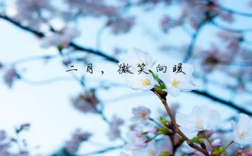 幼儿园十二月份小班工作总结7篇