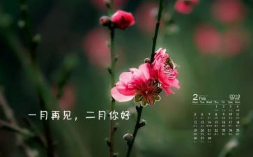 十二月幼儿园工作计划7篇