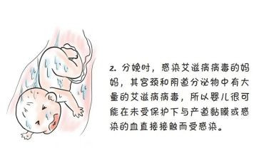 2024年学校防艾工作计划6篇