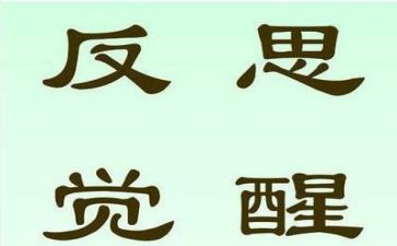 个人总结及反思模板5篇