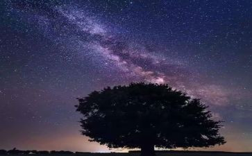 繁星春水读后感700字6篇