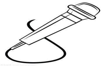 精彩的发言稿800字5篇