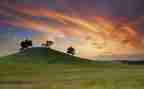 写家风的作文300字7篇