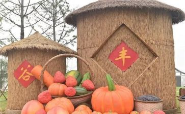 丰收节活动教案5篇