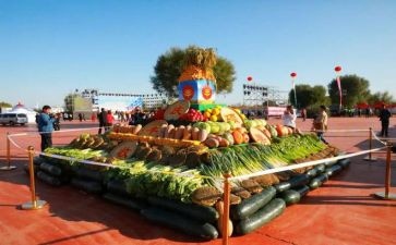 2024年丰收节作文最新8篇