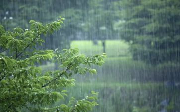 风雨作文500字作文7篇