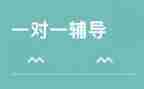辅导教师述职报告7篇
