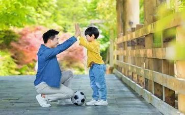 父与子读后感300字作文优秀8篇