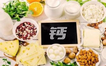 精神上的钙心得体会8篇