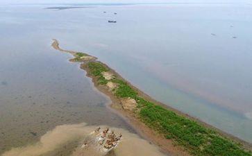 赣鄱先锋先进事迹5篇