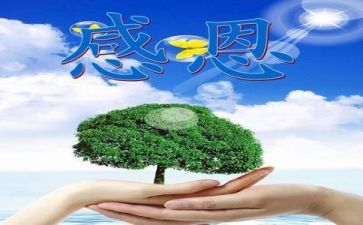 关于感恩的育的心得体会8篇