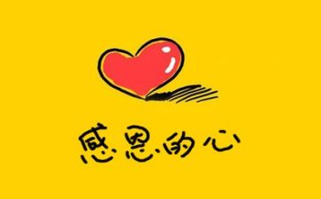 关于老师感恩的心得体会6篇