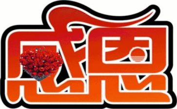 感恩的心演讲稿500字模板8篇