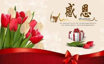 感恩老师的毕业演讲稿5篇