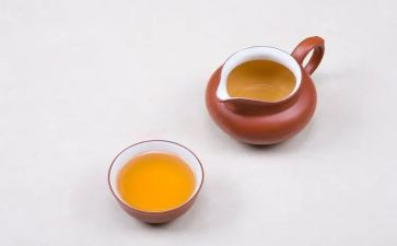 纲要课心得体会8篇