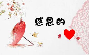 我最想感激的人作文6篇
