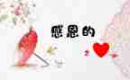 我最想感激的人作文6篇